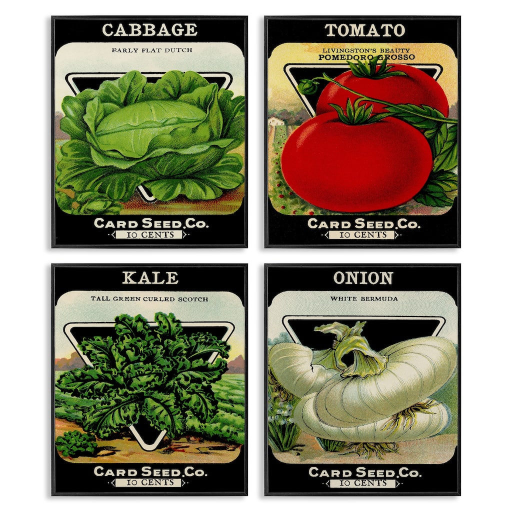 Stupell Vintage Garden Cabbage Framed Giclee Art Design By Lil' Rue (Set of 4)
