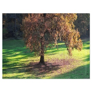 Lonely Beautiful Autumn Tree - Landscape Glossy Metal Wall Art - Bed ...