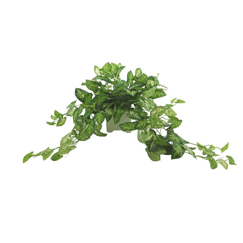 Nepth Plant Arranged in Square Ceramic Pot - Green