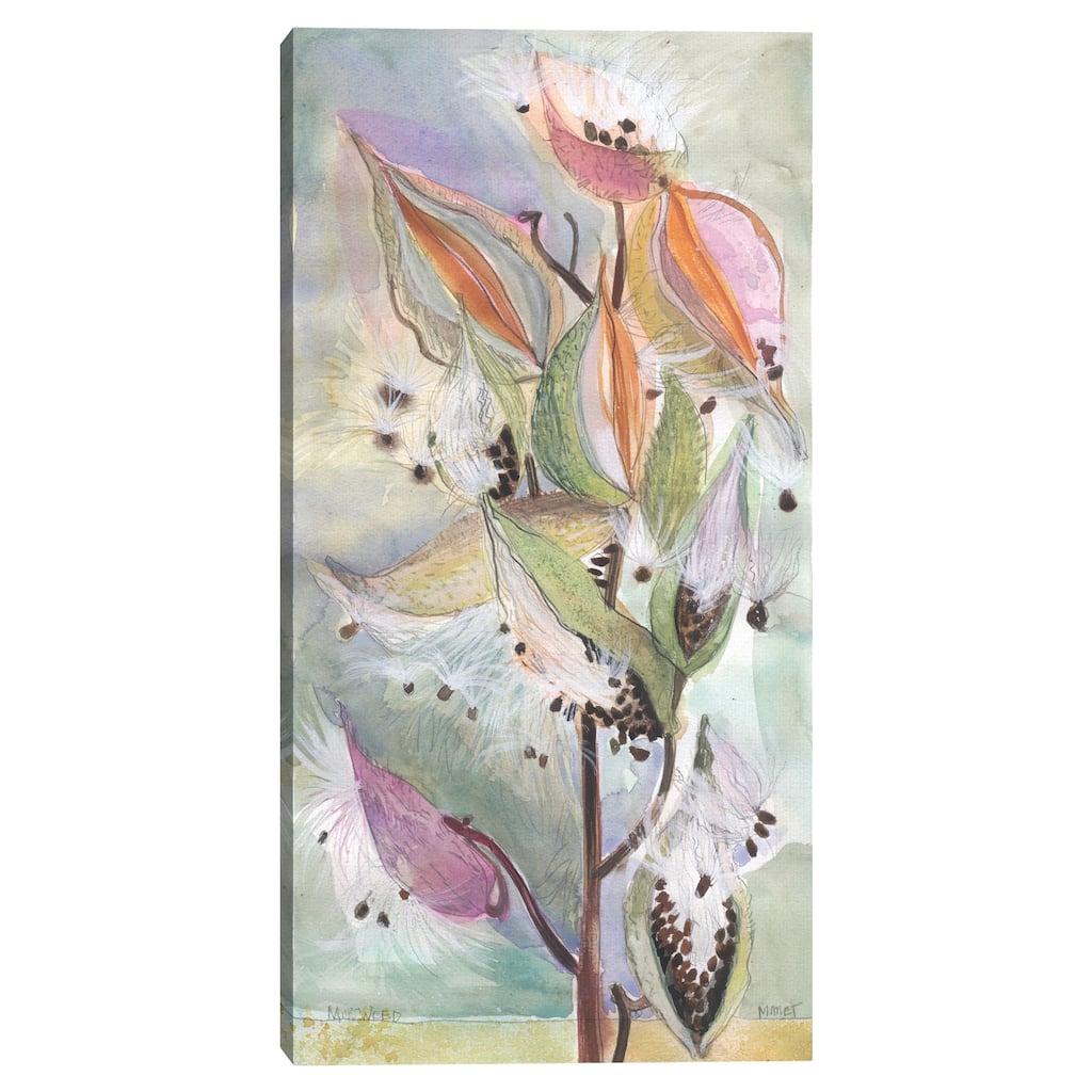 Milk Weed in Color by Maret Hensick Canvas Art Print