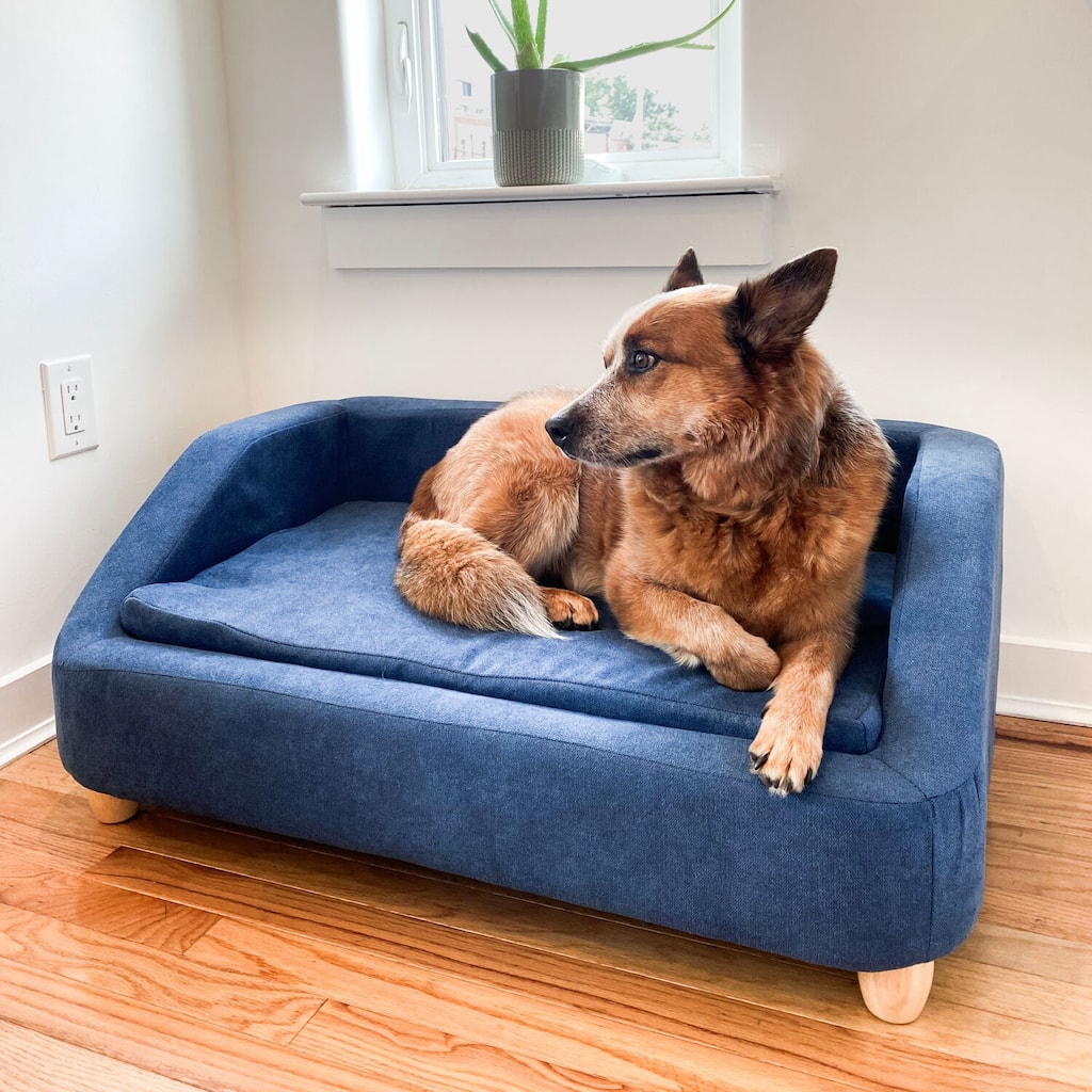 Critter Sitters 36-In. Microfiber Rectangle Pet Bed for Medium-Sized Dogs, Blue