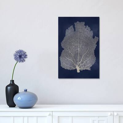 iCanvas "Sea Fan Silver on Blue I" by Melonie Miller Canvas Print