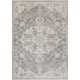 Caressa Vintage Boho Area Rug