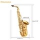 preview thumbnail 2 of 4, Beginner Eb Saxophone Flat Alto Saxophone, Eb Alto Saxophone, AS-100 Alto Saxophone With Mouthpiece - Gold