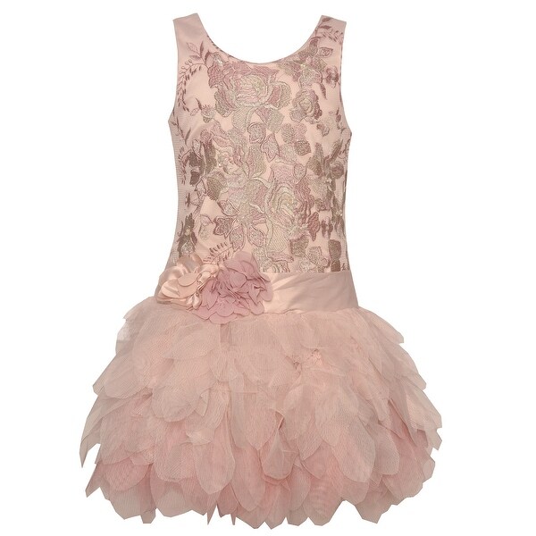 Shop Biscotti Little Girls Pink Embroidered Cascade Mesh Ruffle