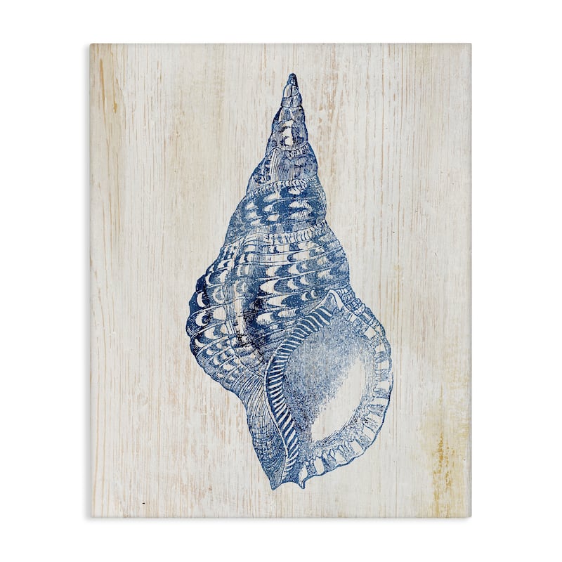Stupell Tranquil Blue Shell Canvas Wall Art Design By Susan Arnot - 36 x 48