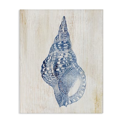 Stupell Tranquil Blue Shell Canvas Wall Art Design By Susan Arnot