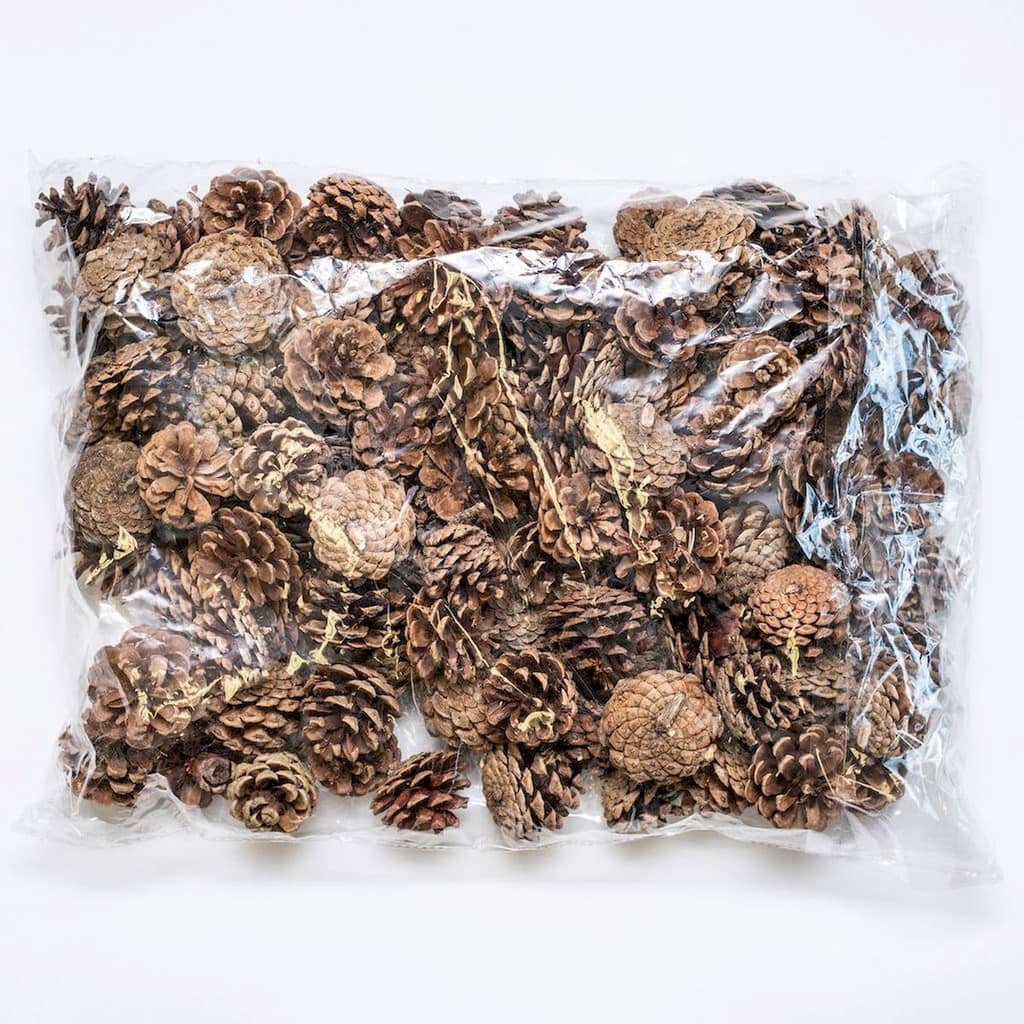 100 Piece Bag Of Jersey Pinecones Decorations