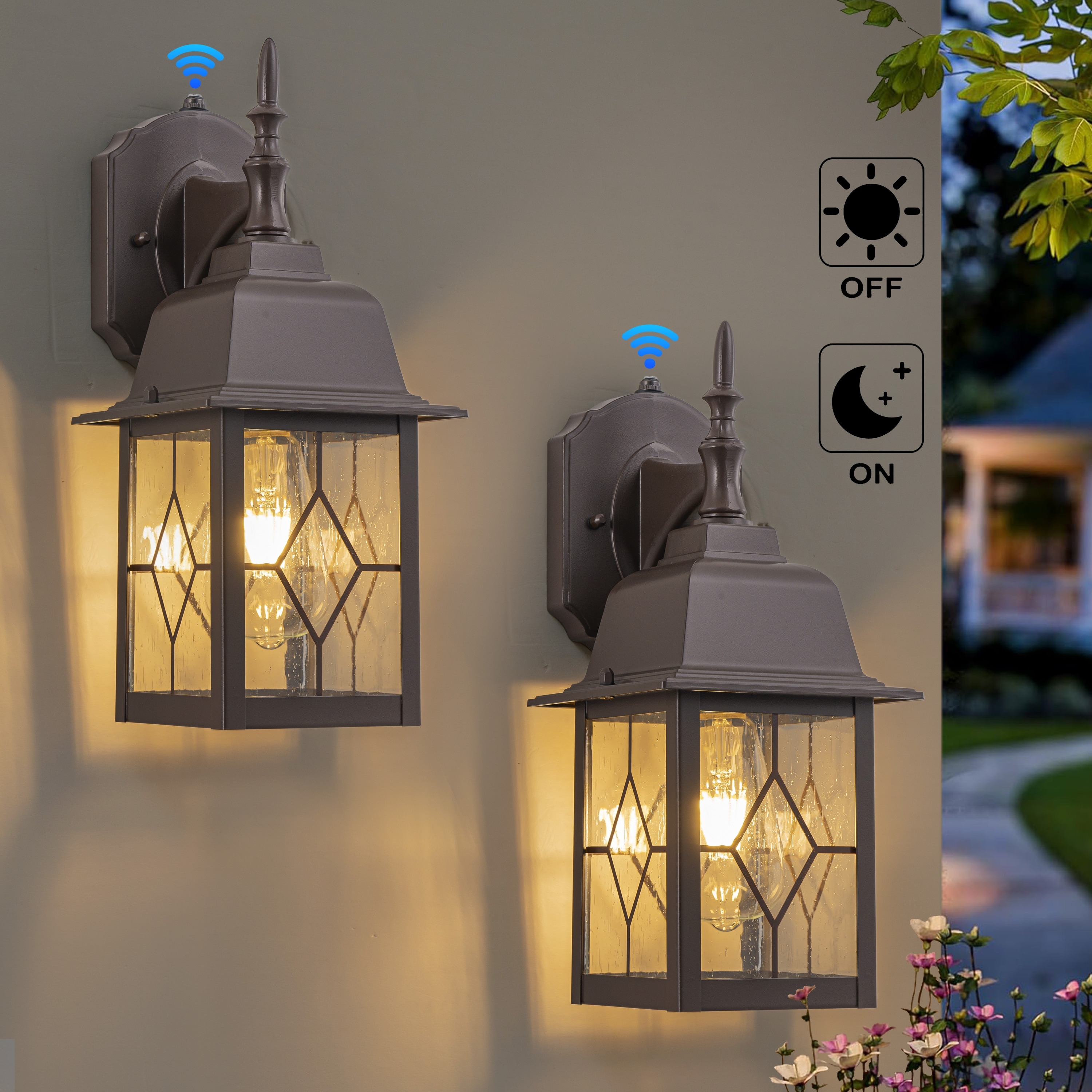C Cattleya 2-Pack ORB Dusk to Dawn Outdoor Wall Lantern Sconce with Seeded Glass