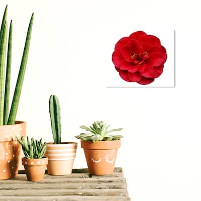 Wynwood Studio Canvas Floral and Botanical Red Floral Red and Modern & Contemporary Wall Art Canvas Print