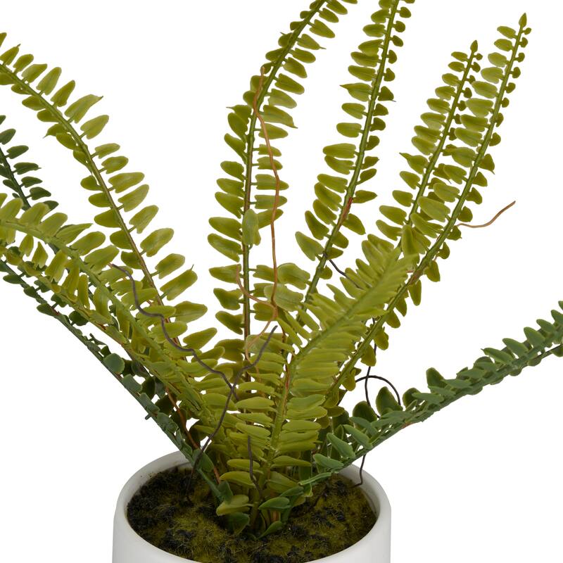 Faux Foliage Fern Artificial Plant with Realistic Leaves and White Ceramic Pot - Green - Roche River Decor - 10"W x 15"L x 12"H