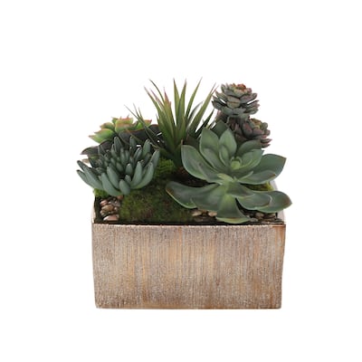 Succulent Arrangement with rocks in Square Etched Gold Pot - Green, green gray, green red