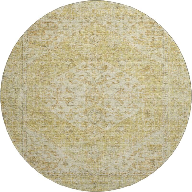 Premium Washable Super Soft Vintage Traditional Mayfield Rug