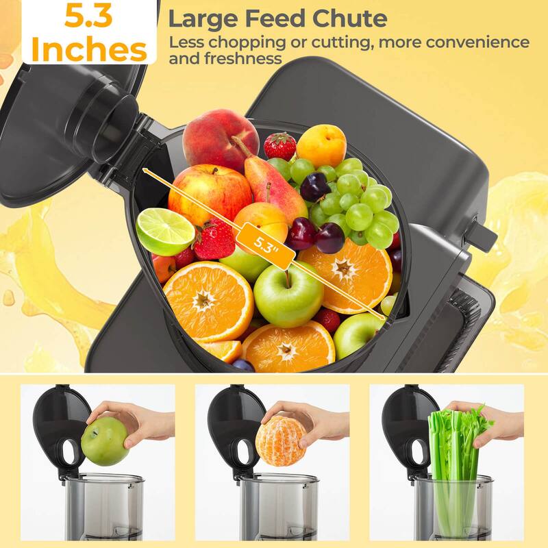Costway Cold Press Juicer Machine Professional Slow Masticating Juicer - See Details