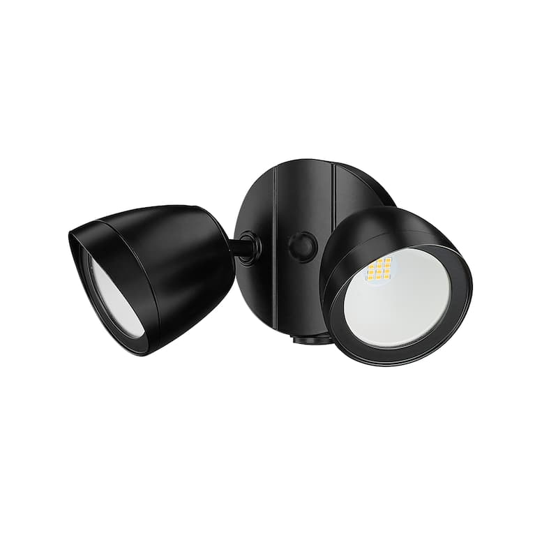 Millennium Lighting 2 Light Flood Lights