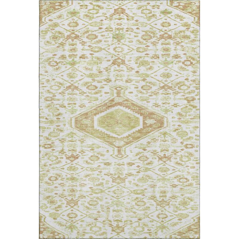 Premium Washable Super Soft Traditional Global Mayfield Rug