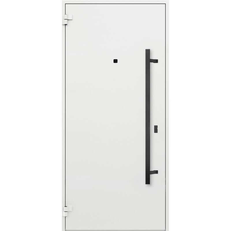 Exterior Prehung Steel Entry Door Ronex 0131 Grey 2 Sidelites Top Window Stainless Steel Inserts 16+36+16x96 Left Hand