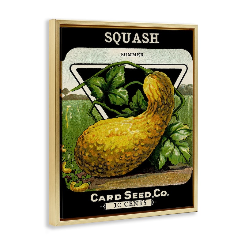 Stupell Vintage Garden Squash Framed Floater Canvas Wall Art Design By Lil' Rue