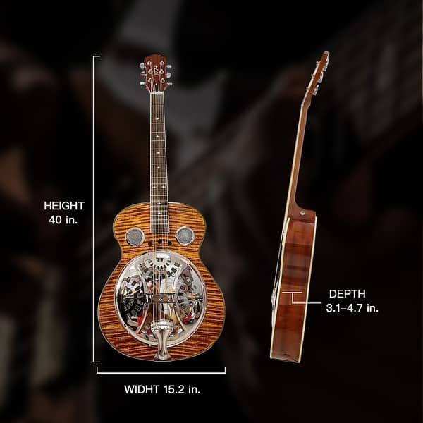 Beginner Metal Slider Resonators Tiger Echo Guitar