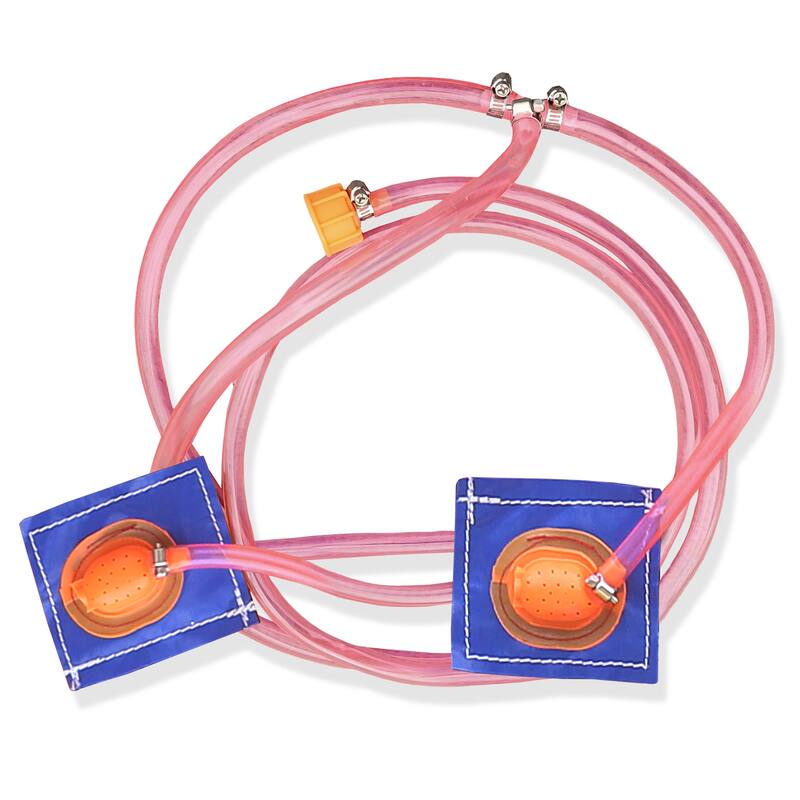 Commercial Inflatable Bounce House with Water Slide and Blower