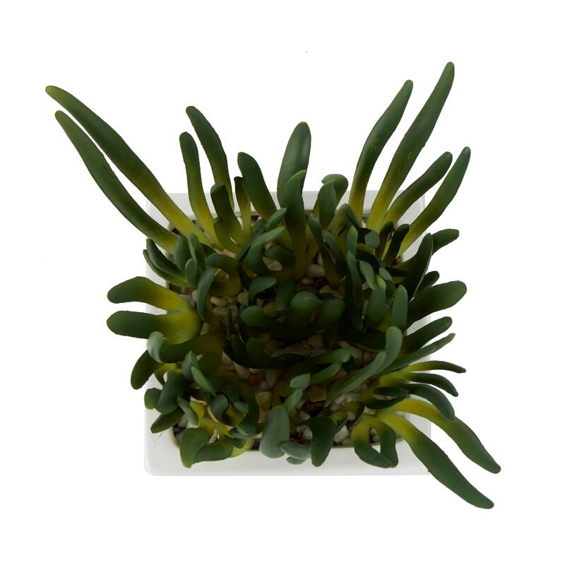Faux Foliage Artificial Plant with White Ceramic Pot - Green - Roche River Decor - 6"W x 8"L x 8"H