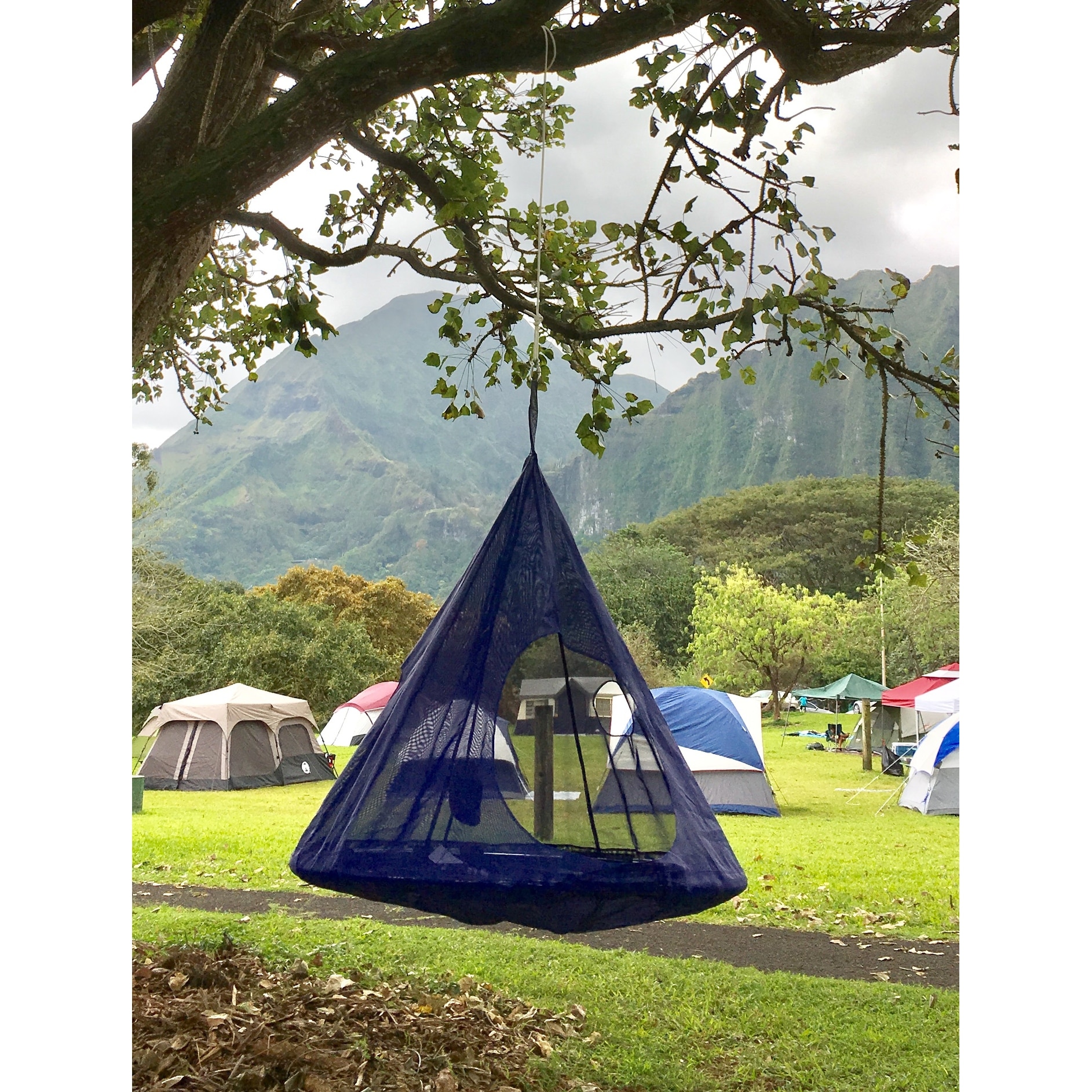 Flowerhouse teardrop tree hammock shop