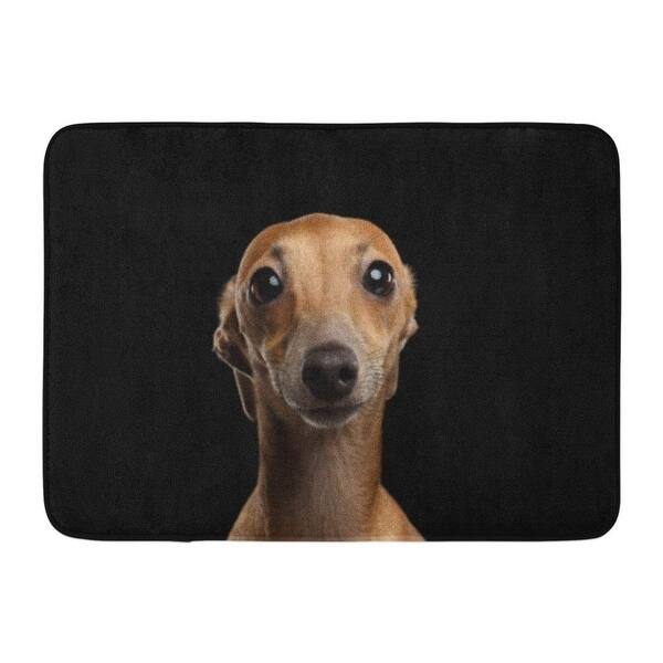 Shop Closeup Portrait Of Funny Italian Greyhound Dog Looking In Camera On Black Front View Doormat Floor Rug Bath Mat Multi On Sale Overstock 31774267