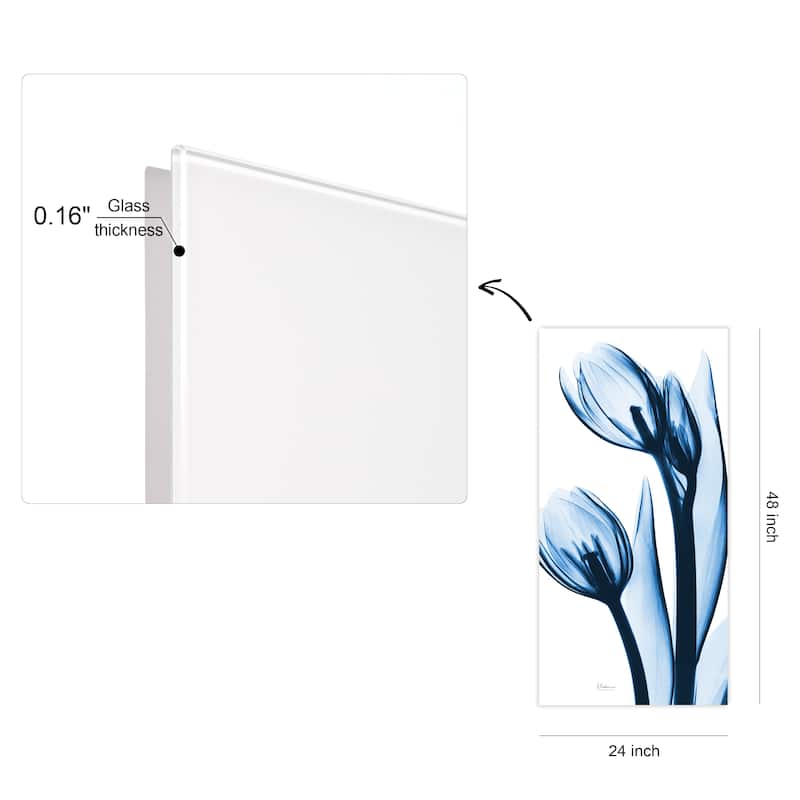 "Two Blue Tulips" Frameless Free Floating Tempered Glass Panel Graphic Wall Art