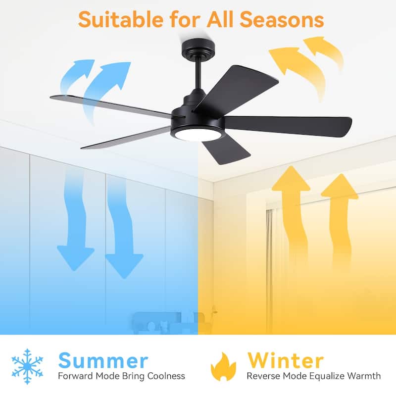 Kviflon 52" Downrod Ceiling Fan with Light and Remote,Reversible DC Motor,5 Plywood Dual Side Blades - 52 Inches