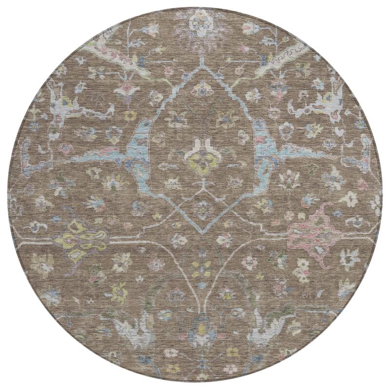 Machine Washable Indoor/ Outdoor Traditional Classic Chantille Rug
