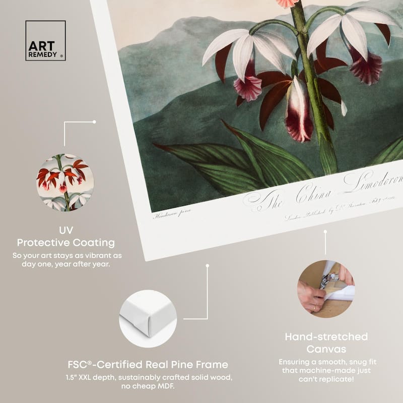 The China Limodoron 1807 Canvas by Art Remedy, Gallery Wrapped