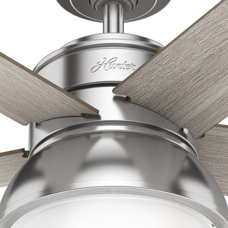 Hunter 44" Lilliput Indoor Ceiling Fan with LED Light, Pull Chain - Modern Industrial, Farmhouse - Exclusive SureSpeed!