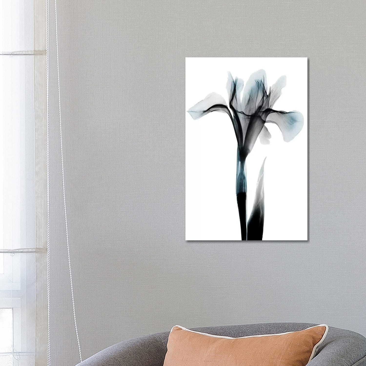 iCanvas "Ombre Sea Salt Iris" by Albert Koetsier Canvas Print