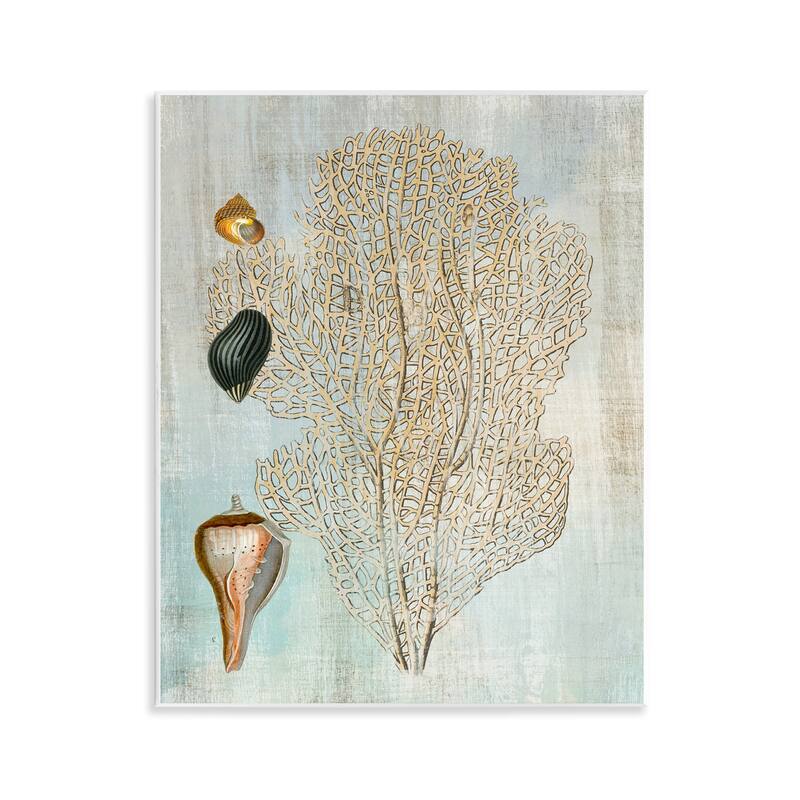 Stupell Detailed Coral & Seashells Wall Plaque Art Design By Susan Arnot - 11 x 14