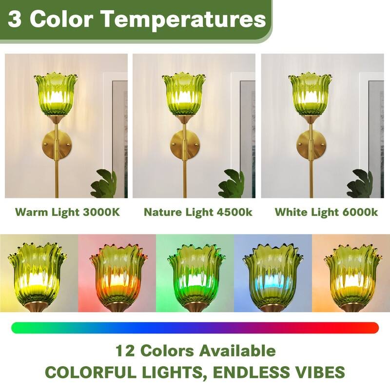 Battery Operated Wallchiere with Remote, Rechargeable Wireless Gold Wall Sconces , RGB Dimmable Light (Set of 2)