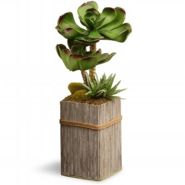 National Tree GAPS30-6G 6 in. Potted Sukkulent - Green