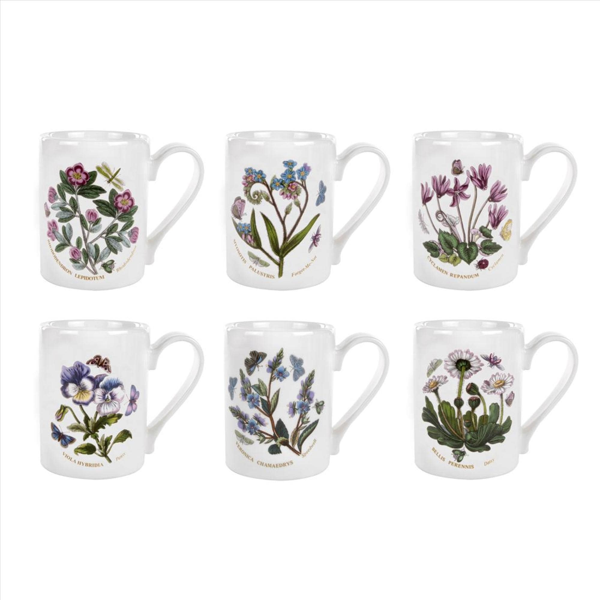 Portmeirion Botanic Garden Tankard Coffee Mugs Set of 6