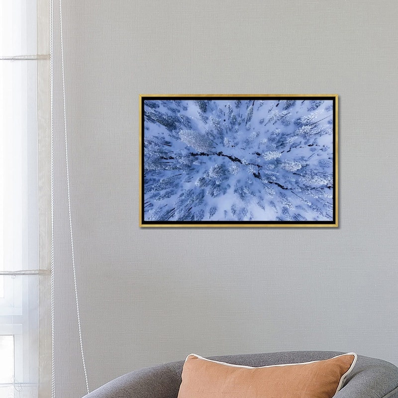 iCanvas "Winter Wonderland" by Gerald Macua Framed