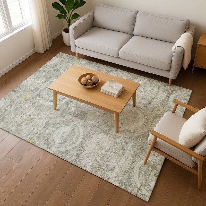 Premium Washable Super Soft Vintage Medallions Mayfield Rug
