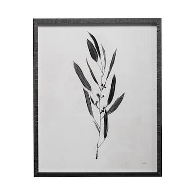 Botanical Study I Framed Art Print