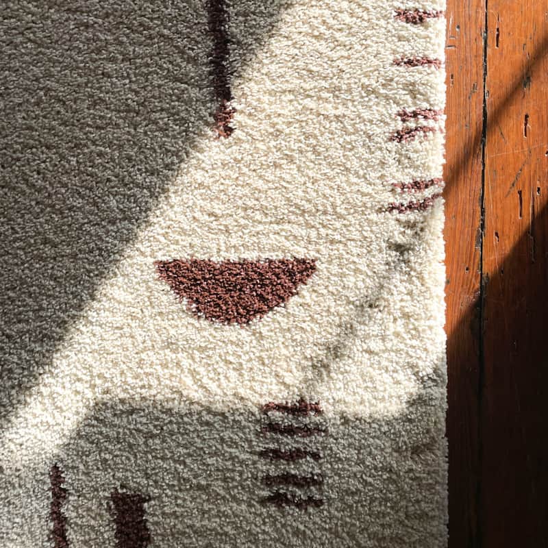 Carson Shag Area Rug