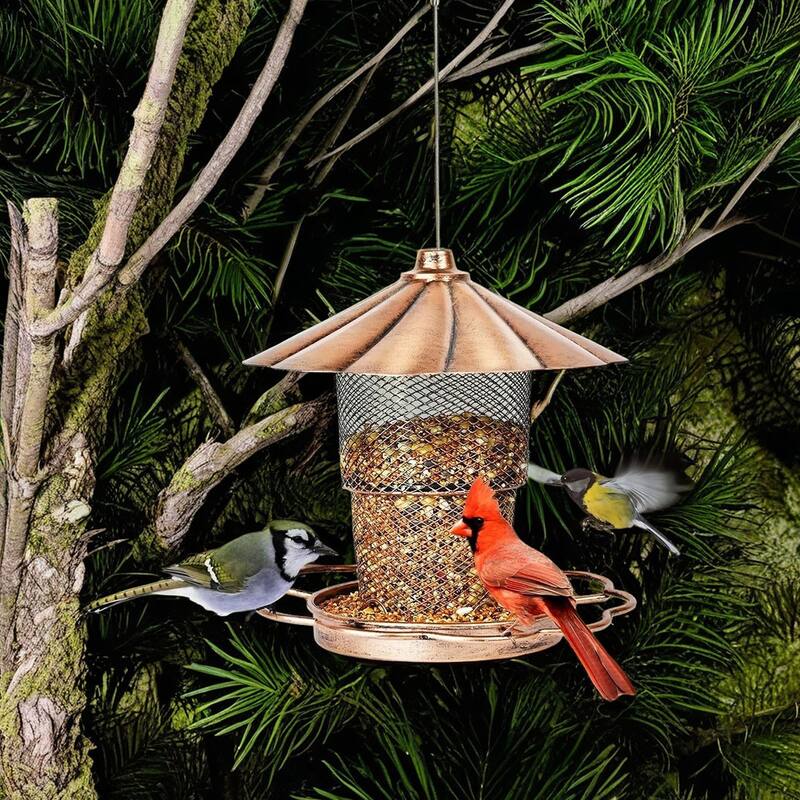 Hanging Bird Feeder with Lid, Bird Feeders For Outdoor