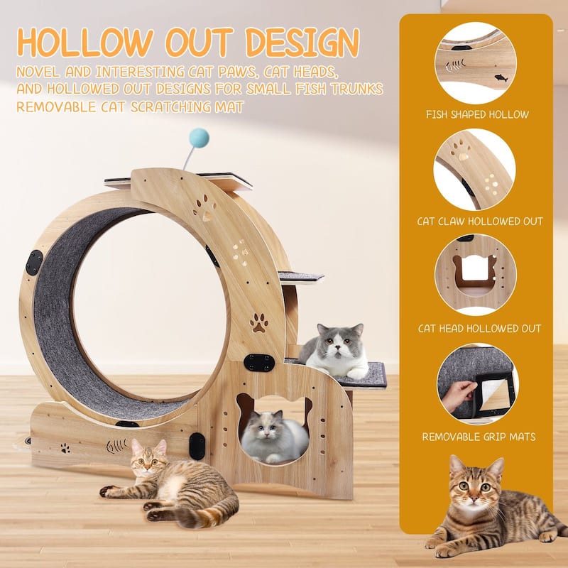 6-in-1 Upgraded Cat Wheel Exerciser for Indoor Cats