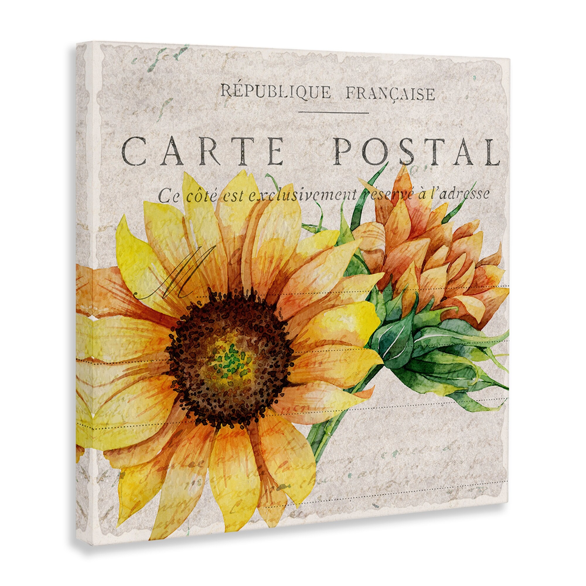 Stupell Vintage French Sunflower Postcard Floral-image