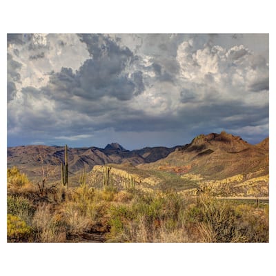 Stormy Dessert by Robert Murray Canvas Art Print