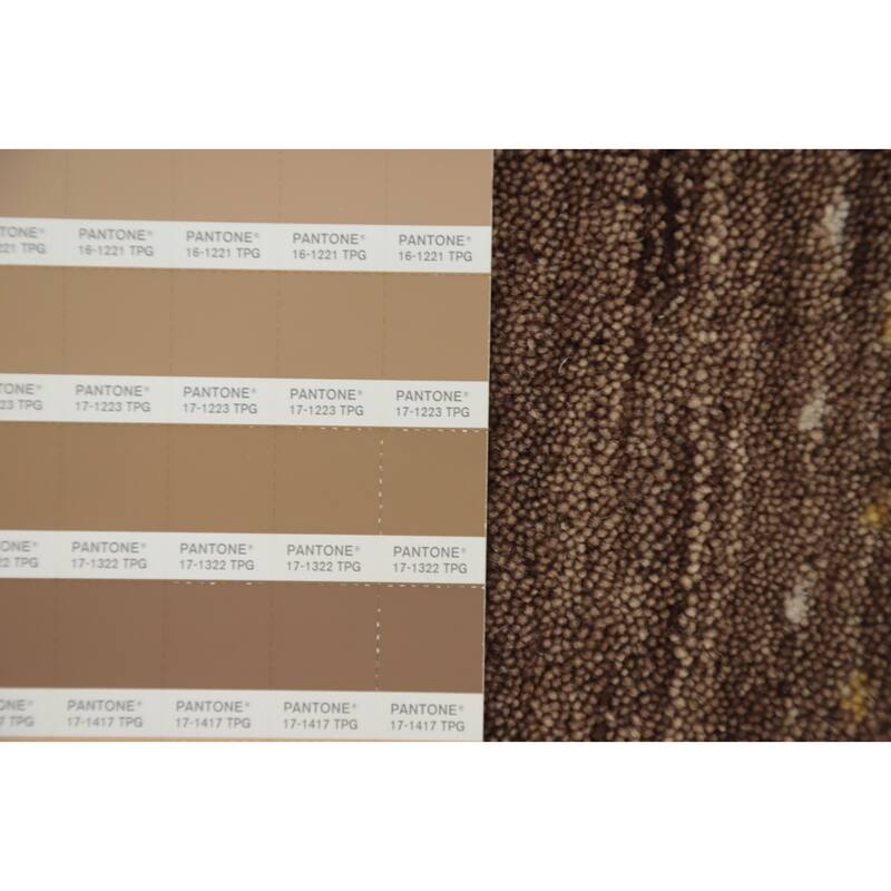 Hand Knotted Oriental 100% Wool Carpet Tribal Animal Pictorial Brown Gabbeh Area Rug - 7' 2'' X 5' 2''