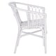 preview thumbnail 14 of 14, SAFAVIEH Adriana Rattan Accent Chairs (Set of 2) - 22.8" W x 23.6" L x 30.3" H