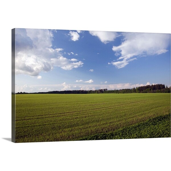 "Farm field in springtime, Dikli, Gauja National Park, Vidzeme Region, Latvia" Canvas Wall Art