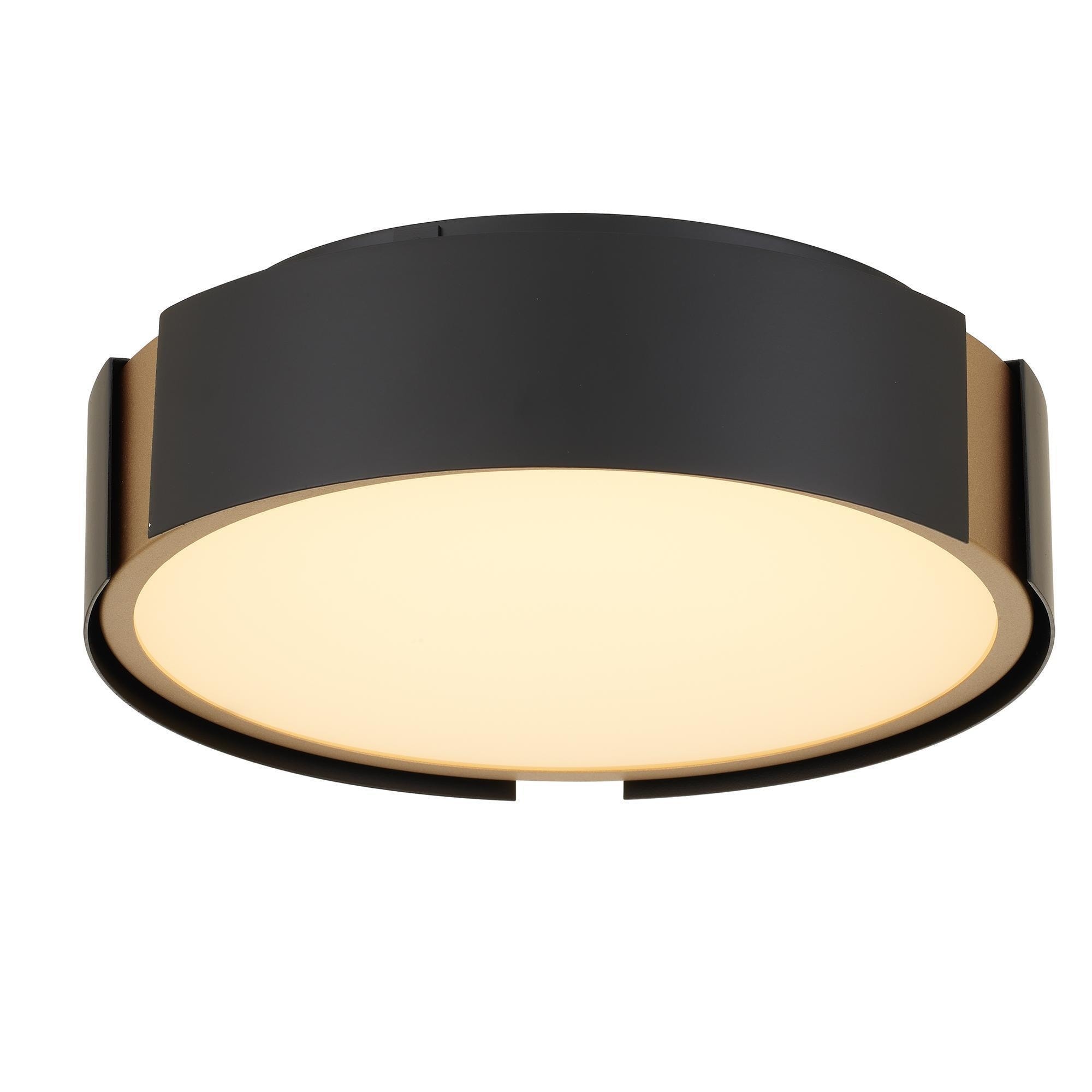 Modern Matte Black Round LED Ceiling Light