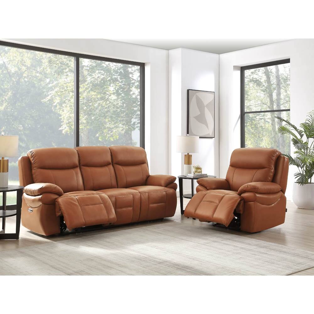 Hydeline Springdale Zero Gravity Power Recline and Headrest Top Grain Leather Sofa and Chair - Sofa, Chair